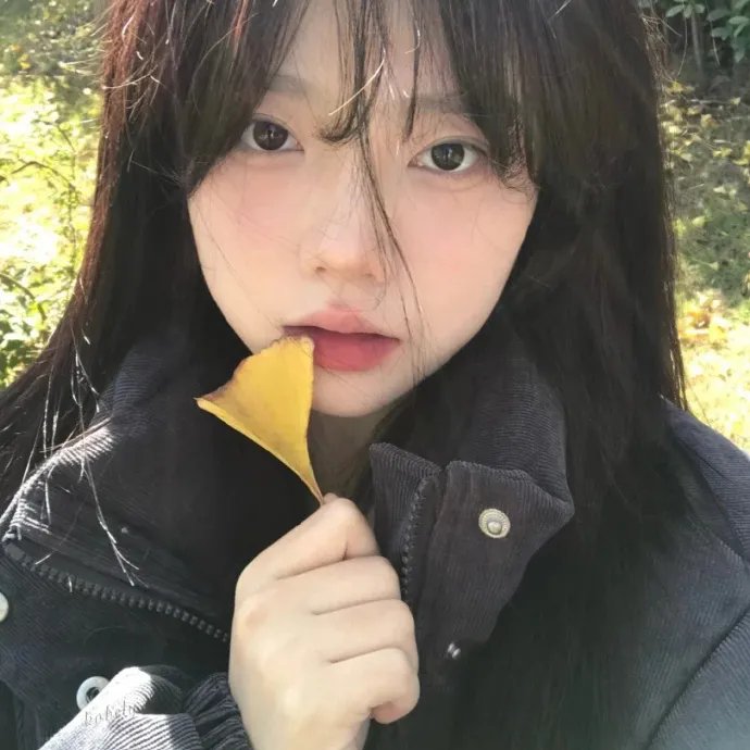 家庭圣女